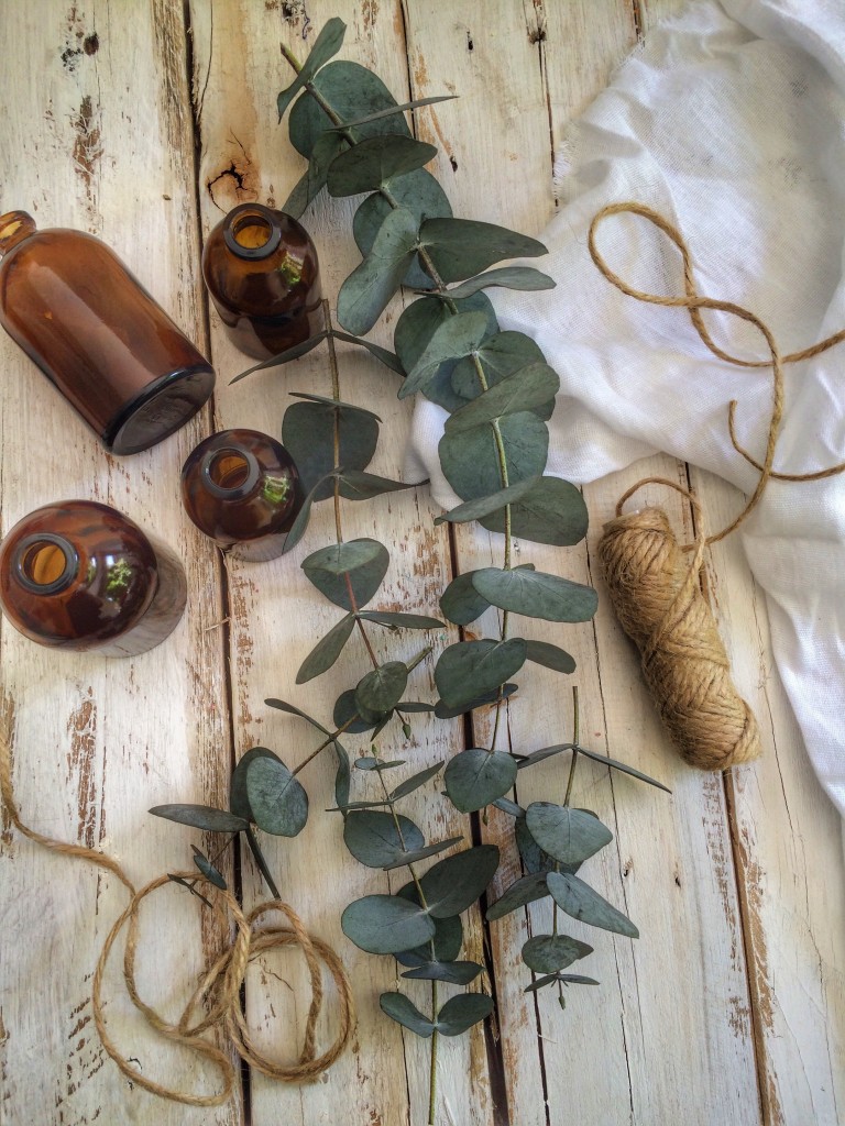 leaves 1