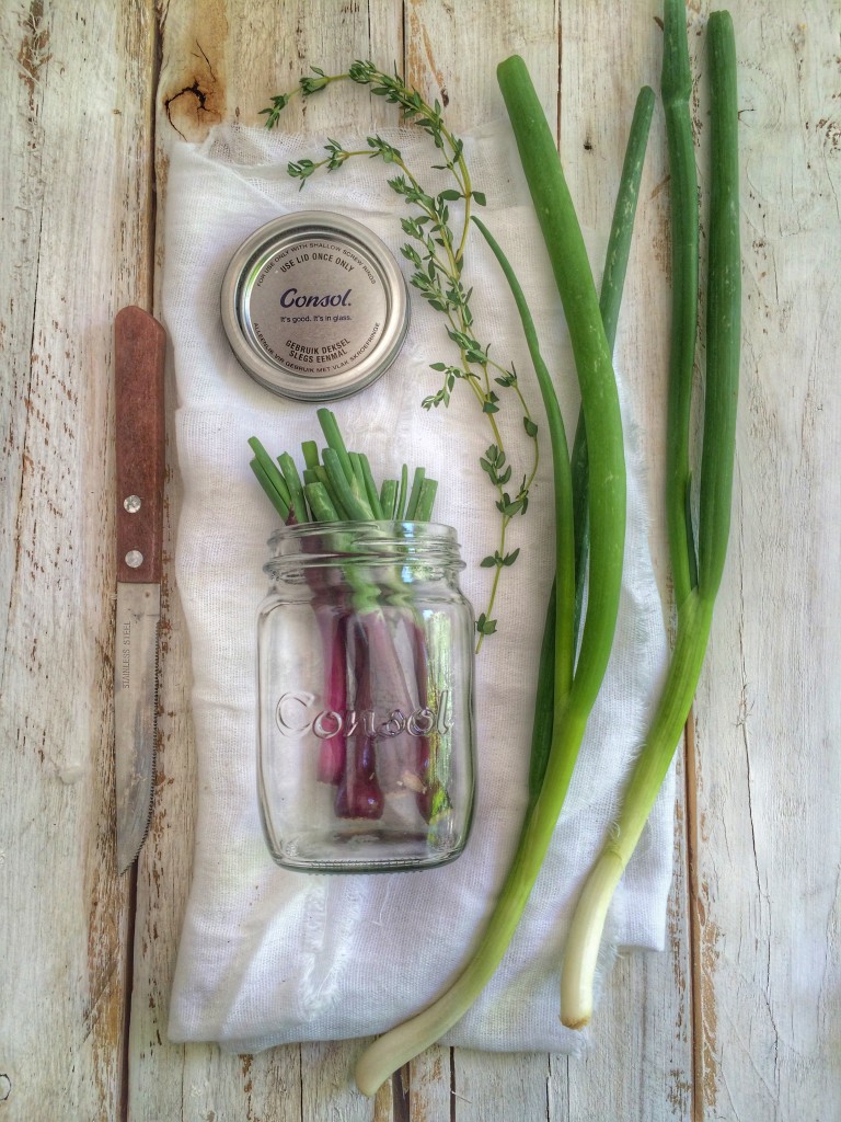 spring onion