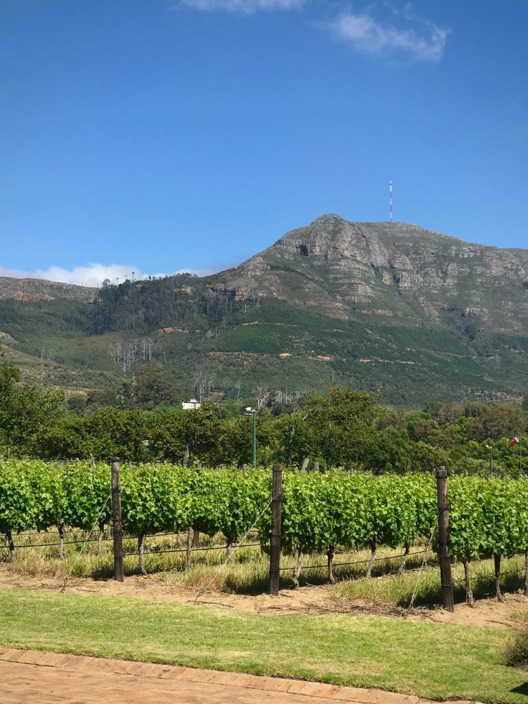 Steenberg